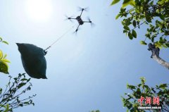 云南临沧茶的“科技范儿”